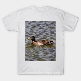 Female Mallard Duck T-Shirt